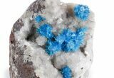 Vibrant Blue Cavansite Crystals on Sparkling Stilbite - India #357231-1